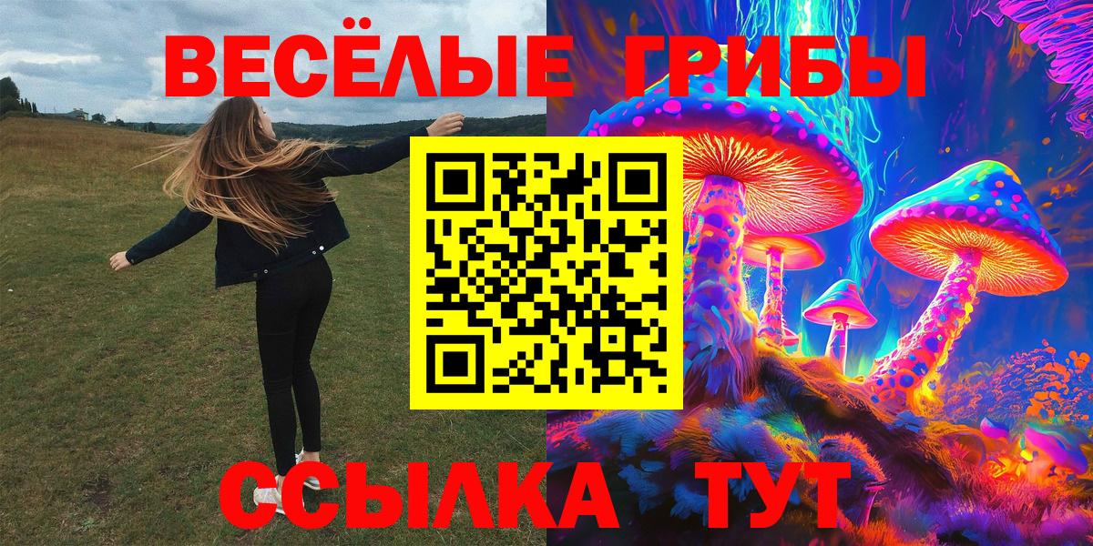 Вичуга  Галлюциногенные грибы прущие грибы  Вход с VPN 