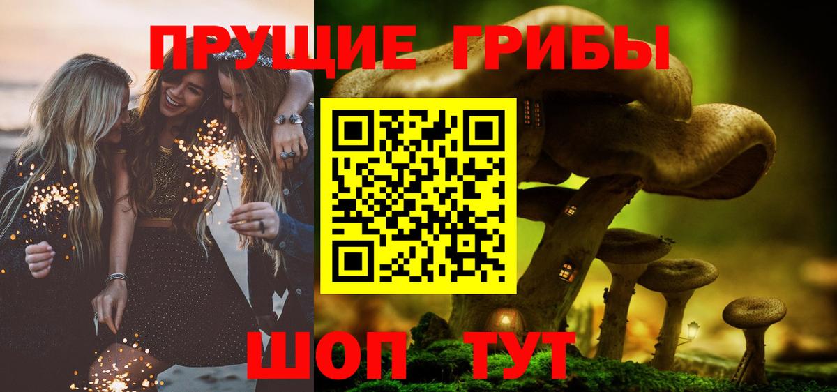 Псилоцибиновые грибы GOLDEN TEACHER Вичуга
